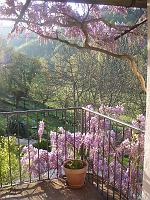 Spring - The Balcony